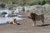 Enlarge photo 184