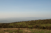 Enlarge photo 195