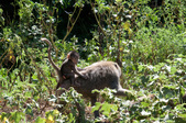Enlarge photo 198