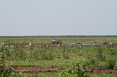 Enlarge photo 204