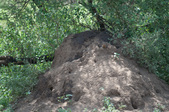 Enlarge photo 206