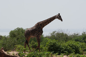 Enlarge photo 207