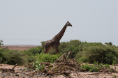 Enlarge photo 208