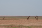 Enlarge photo 209