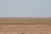 Enlarge photo 214