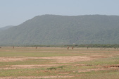 Enlarge photo 219