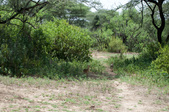 Enlarge photo 220