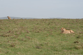 Enlarge photo 30
