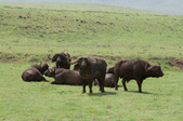 Enlarge photo 33