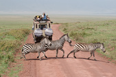 Enlarge photo 40