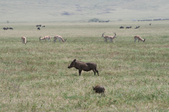 Enlarge photo 46