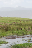 Enlarge photo 57