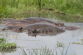 Enlarge photo 58