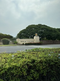Enlarge photo 115