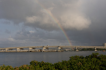 Enlarge photo 45