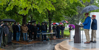 Enlarge photo 43