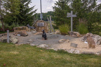Enlarge photo 80