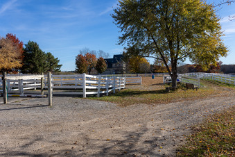 Enlarge photo 79