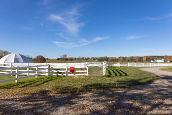 Enlarge photo 80