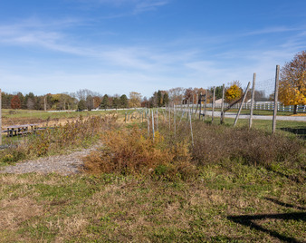 Enlarge photo 84