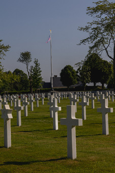Enlarge photo 199