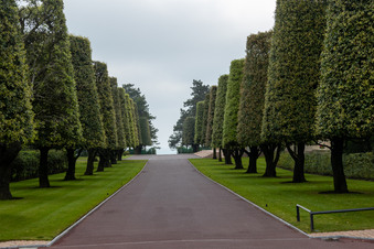 Enlarge photo 43