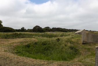 Enlarge photo 63