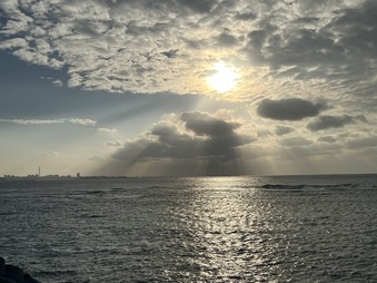Enlarge photo 48