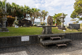 Enlarge photo 6