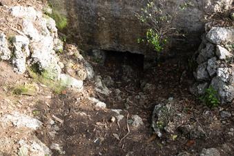 Enlarge photo 7