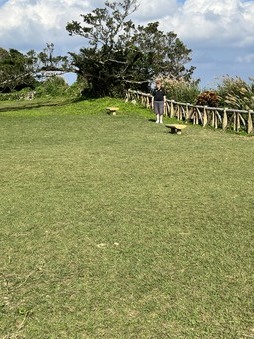 Enlarge photo 36