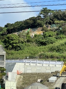 Enlarge photo 43
