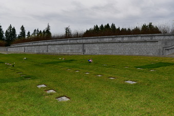 Enlarge photo 106