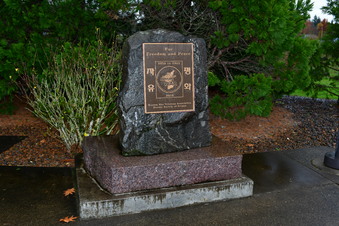 Enlarge photo 235