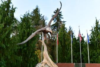 Enlarge photo 814
