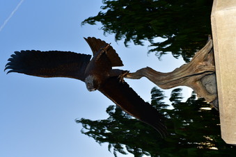 Enlarge photo 816