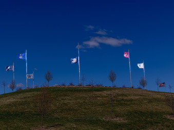 Enlarge photo 22