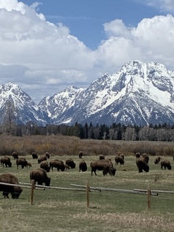 Enlarge photo 90