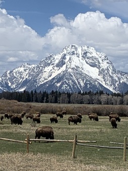 Enlarge photo 91