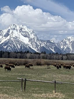 Enlarge photo 92