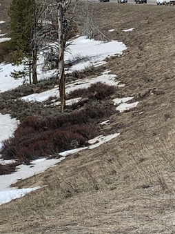 Enlarge photo 93