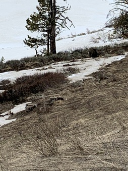 Enlarge photo 95