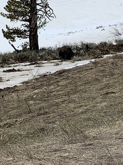 Enlarge photo 100