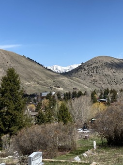 Enlarge photo 60