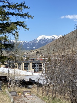 Enlarge photo 61