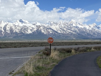 Enlarge photo 64