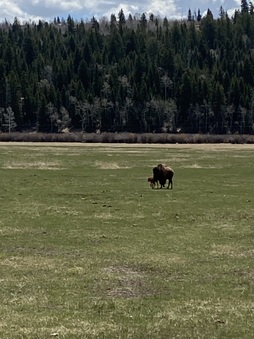 Enlarge photo 84