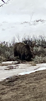 Enlarge photo 248