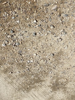 Enlarge photo 335