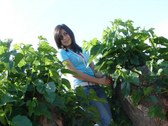 Enlarge photo 20